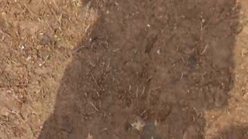 Steamy Indian Couple's Outdoor Adventure by the River!