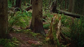 Megan Fox & Amanda Seyfried: Jennifer's Body Hot Scene