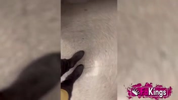 Hot Pornstars Dive Into Wild Orgies! Nuria, Lana, Lizzie & Leia at FAKings