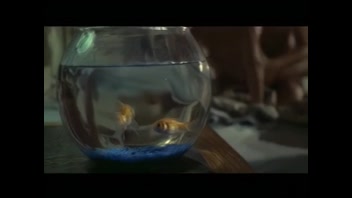 Sensual Softcore Scene: Name This Movie or Star! Help!